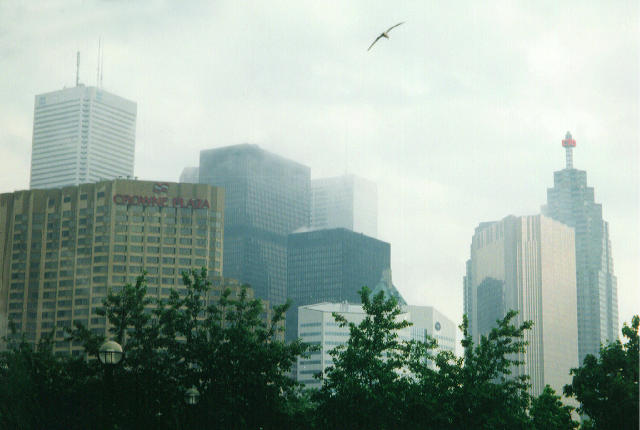 Free Stock Photo: and old photo of the buildings in central toronto