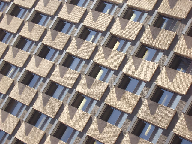 Free Stock Photo: rows of office windows in a modern towerblock