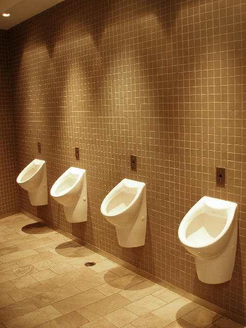 Free Stock Photo: mens toilet: a row of clean white urinals