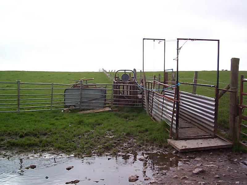 Free Stock Photo: Livestock gate on a farm into a muddy paddock with green fields in the background in an agricultural landscape