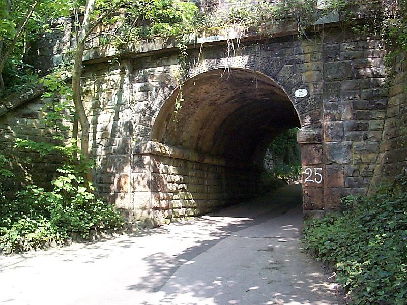 Free Stock Photo: Road passing through an arched underpass or tunnel under a road above in a shady green country lane