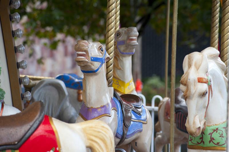 Free Stock Photo: Colorful decorative horses on a fairground carousel in a close up view on their heads