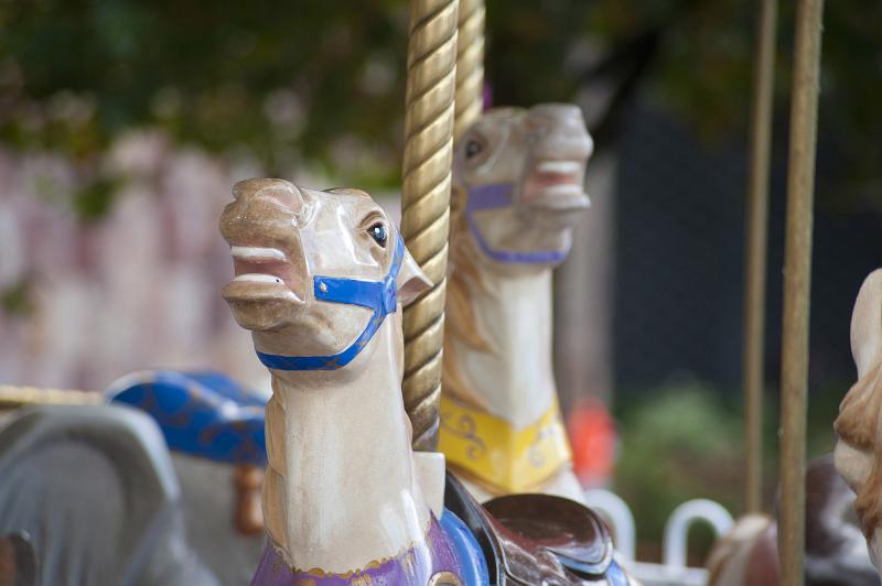 Free Stock Photo: Snorting horse head on a merry-go-round or carousel at an amusement park or fairground