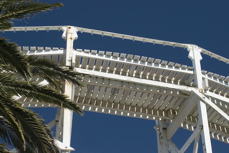 Free Stock Photo: Looking up at elevated rollercoaster tracks against a sunny blue sky with palm fronds in the foreground