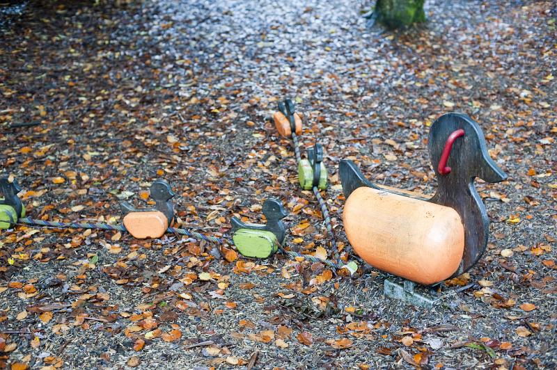 Free Stock Photo: Cute little duck with following rows of ducklings ride in a deserted toddlers playground