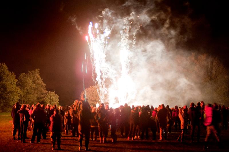 Free Stock Photo: Crowd of people gathered in a field watching a colorful firework display on Bonfire Night or Guy Fawkes on 5th November