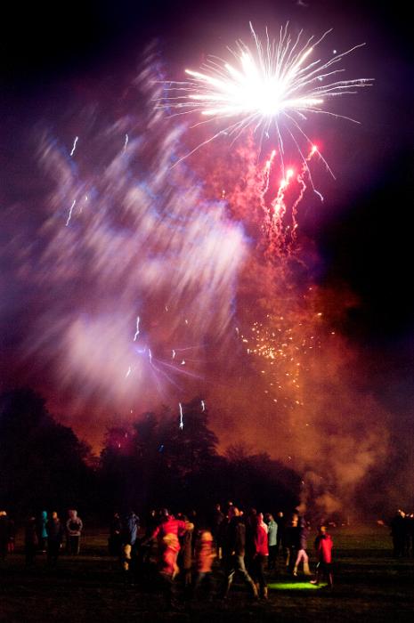 Free Stock Photo: People watching a spectacular fireworks display with gold and pink rockets exploding in a burst of sparks in the night sky on Bonfire Night, the 5th November