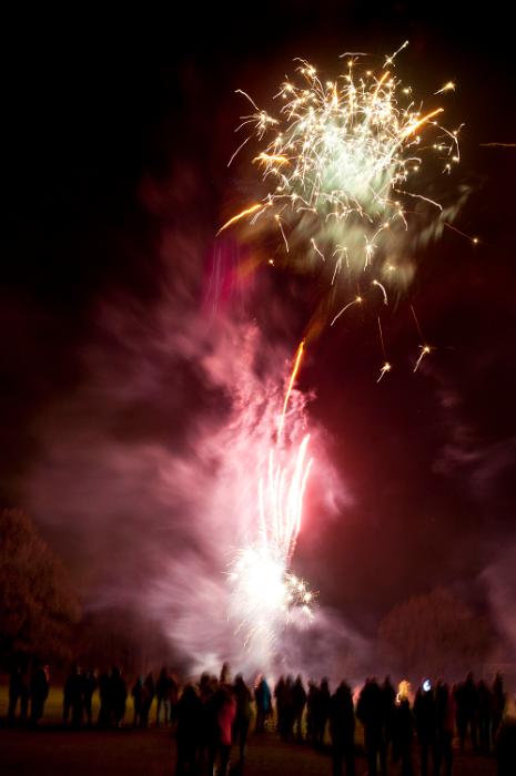 Free Stock Photo: Crowds watching a colourful 5th November fireworks display with pink and gold pyrotechnics as rockets explode in a cloud of fiery sparks