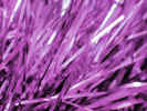 festivetinsel0633.jpg (487813 bytes)