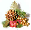 pineconefestive3559.jpg (532048 bytes)