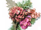 pineconefestive3560.jpg (715324 bytes)