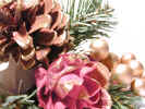 pineconefestive3563.jpg (696845 bytes)