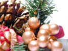 pineconefestive3564.jpg (805118 bytes)