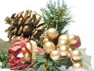 pineconefestive3565.jpg (687752 bytes)