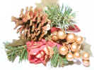 pineconefestive3568.jpg (767662 bytes)
