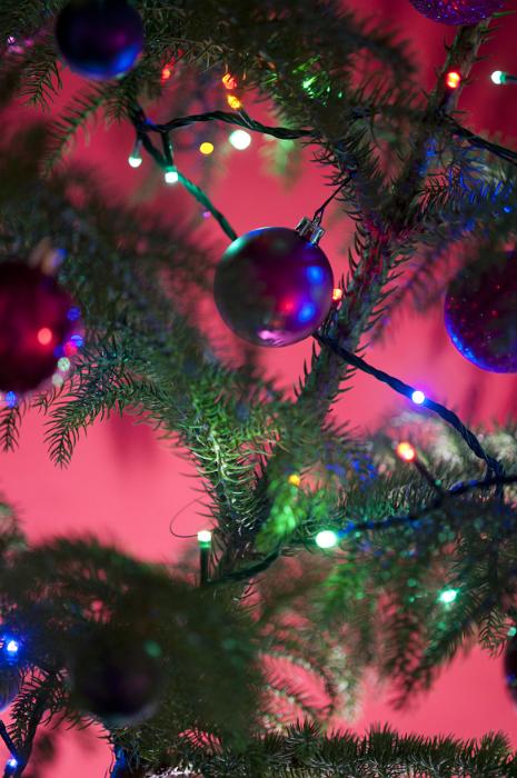 Free Stock Photo: Colorful natural Christmas tree with baubles, decorations and twinkling multicolored lights on fresh green branches over a pink background