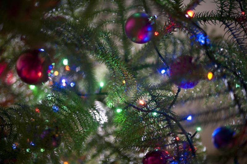 Free Stock Photo: Close Up of Young Green Christmas Tree with Branches Decorated with Colorful Festive Baubles and Strings of Lights