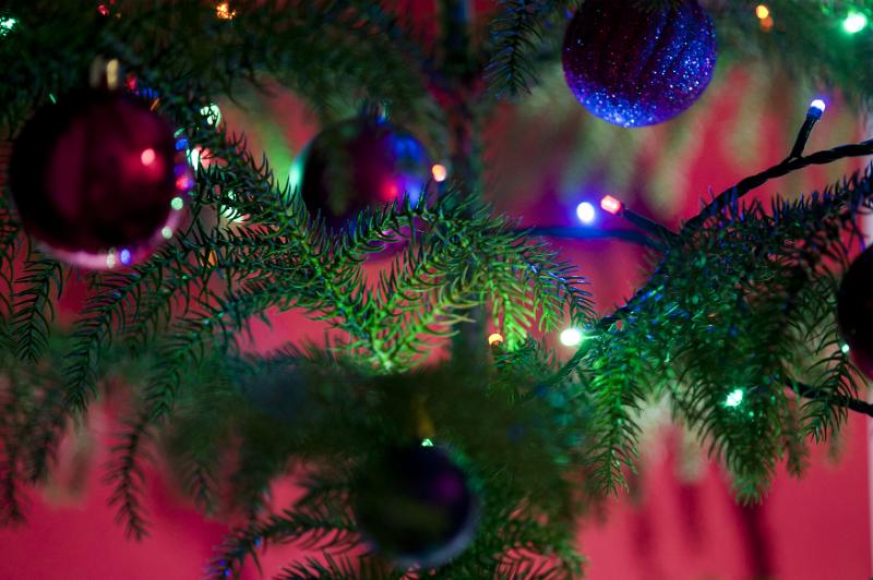 Free Stock Photo: Close up shot of green sparkling Christmas tree