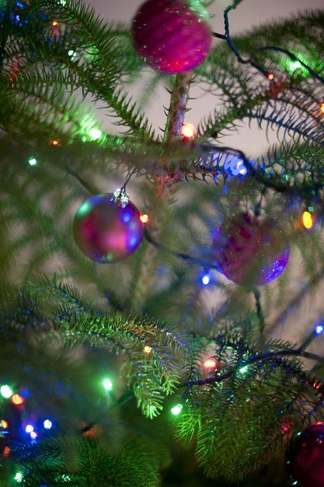 Free Stock Photo: Close up of purple baubles hanging from Christmas tree branches, with colorful fairy lights