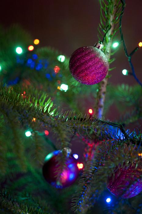 Free Stock Photo: Glitter baubles on a natural evergreen Christmas tree in shades of magenta and purple with sparkling festive colorful lights shining in the darkness