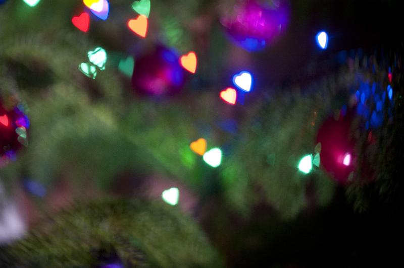 Free Stock Photo: Festive Christmas evergreen tree ornated with decorative purple baubles and heart shaped lights, close-up with bokeh effect