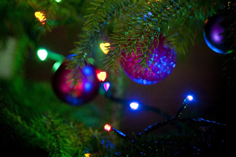 Free Stock Photo: Close up of purple baubles and colorful fairy lights on Christmas tree branches