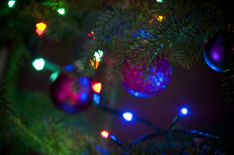 Free Stock Photo: Low angle close up of Christmas tree tree branches, purple baubles and fairy lights