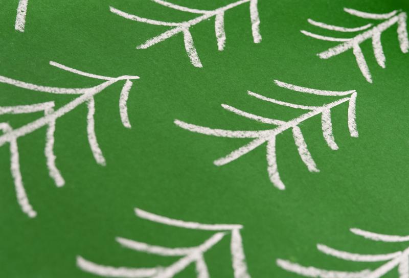 Free Stock Photo: a chalk drawing on green of festive pine tree symbols