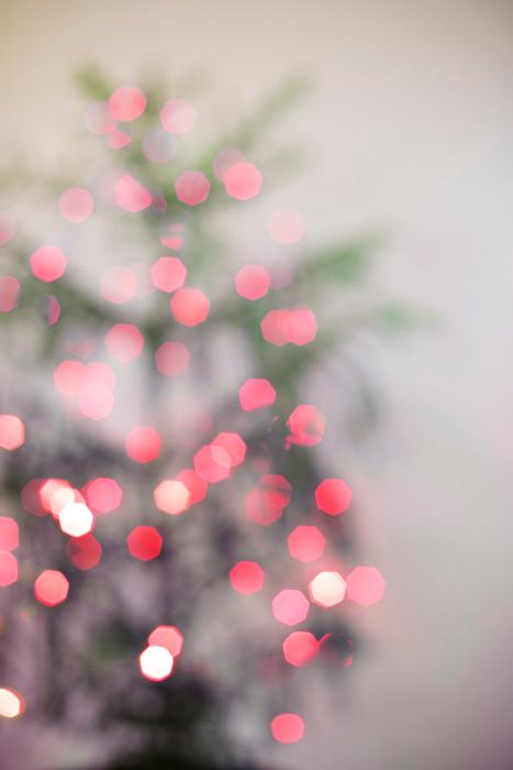 Free Stock Photo: a defocused view of red trinkle lights on a tree for use as a background
