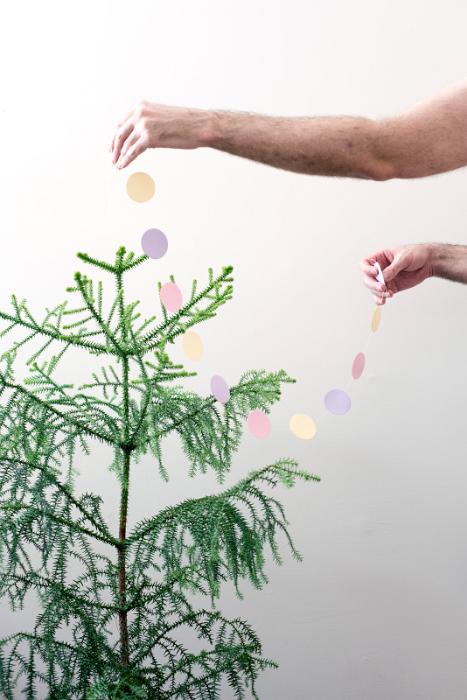Free Stock Photo: decorating the tree for christmas