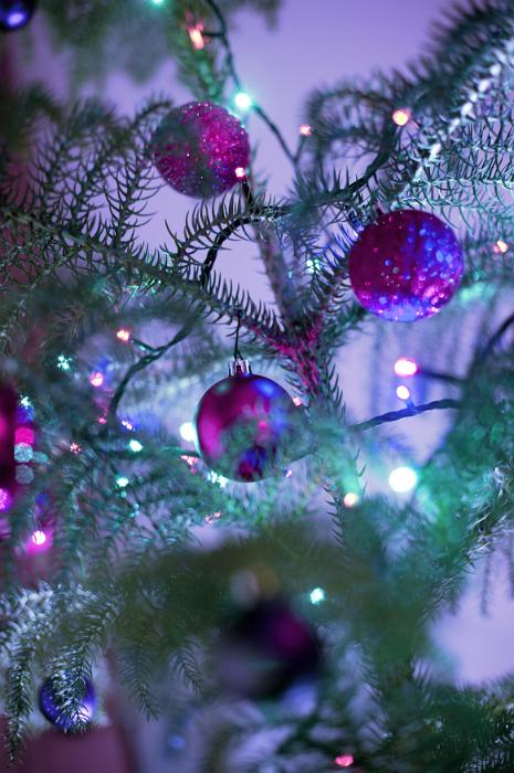 Free Stock Photo: Purple themed Christmas celebration with colorful purple glitter baubles and sparkling lights on a tree over a purple background