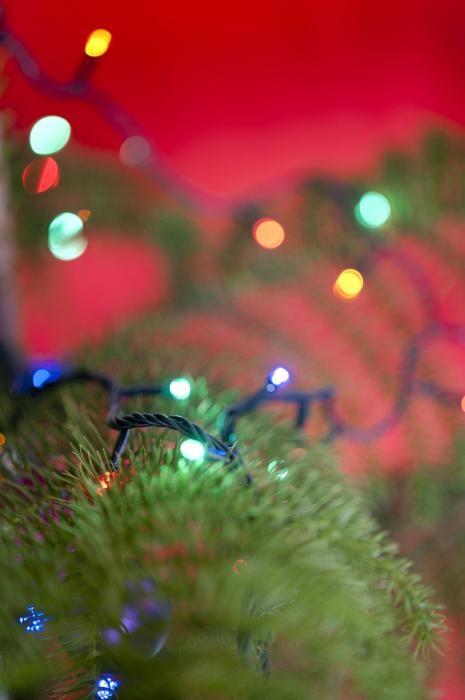 Free Stock Photo: Christmas tree lights forming a sparkling multicolored bokeh for a festive celebration over a red background