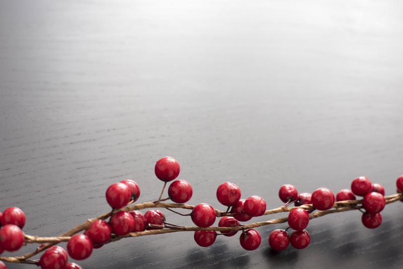 Download image of Xmas berry border of colourful red berries Free Stock Photo: Xmas berry border of colourful red berries over a graduated grey background with copy space for a seasonal greeting