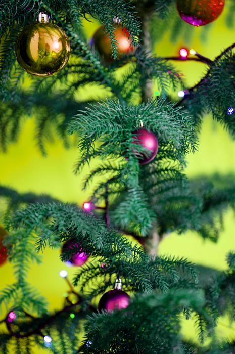 Free Stock Photo: Natural fir Christmas tree with colorful decorations and sparkling lights over a bright green background, close up view