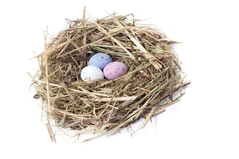 Free Stock Photo: Speckled sugar coated candy Easter eggs in a straw nest on white