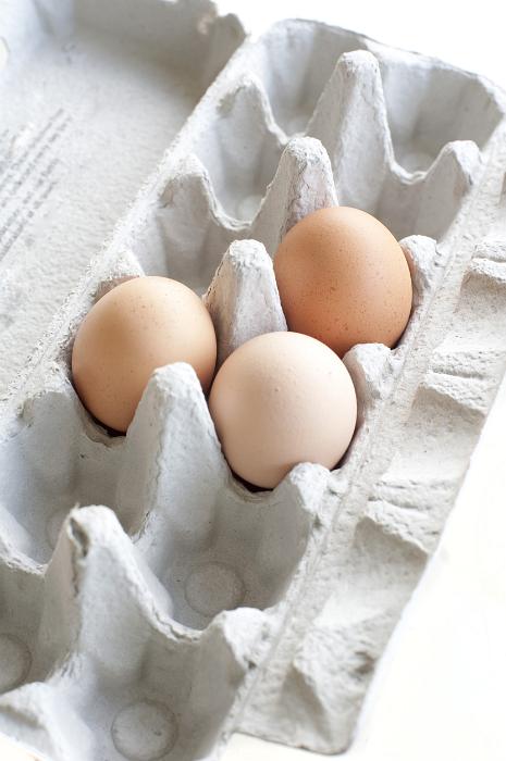 Free Stock Photo: Three fresh hens eggs in a moulded cardboard carton used for retail packaging