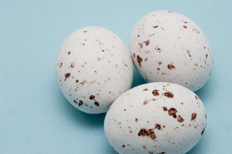 Free Stock Photo: Three speckled white candy sugar coated Easter Eggs close-up on blue