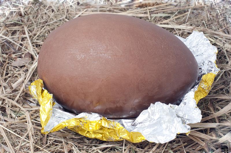 Free Stock Photo: Large unwrapped chocolate Easter Egg on a gold foil wrapper on straw.