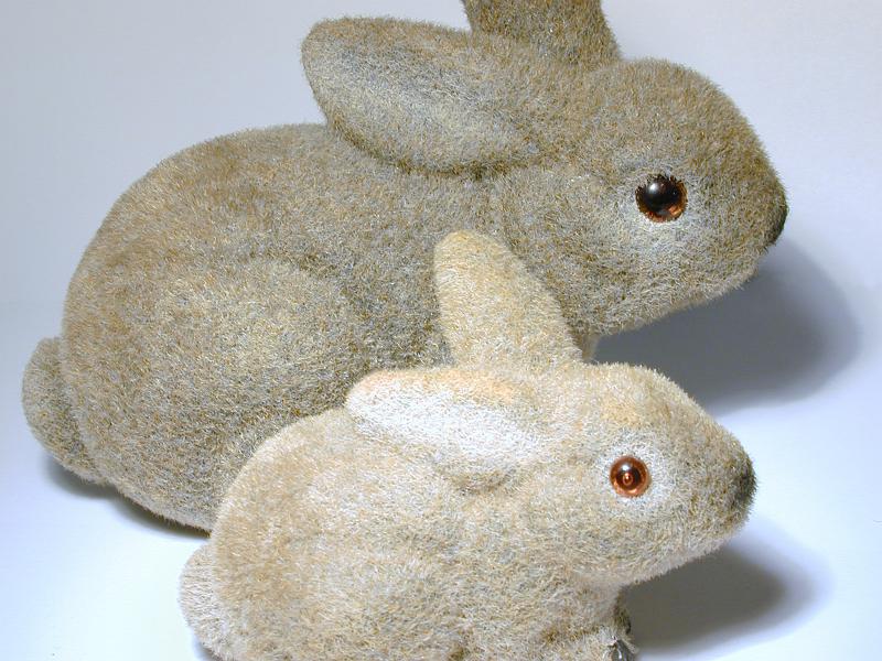 Free Stock Photo: a pair of easter bunny rabbit ornaments on white