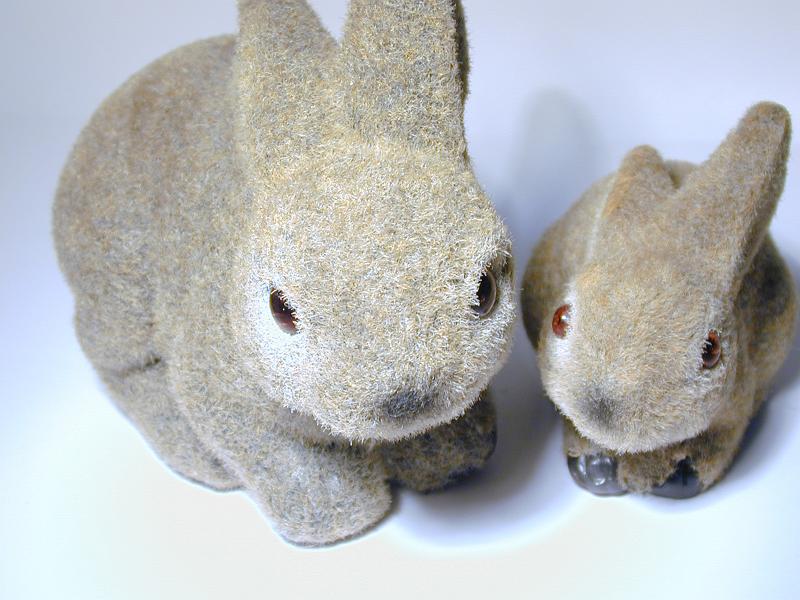 Free Stock Photo: two easter bunnies, one small and one large