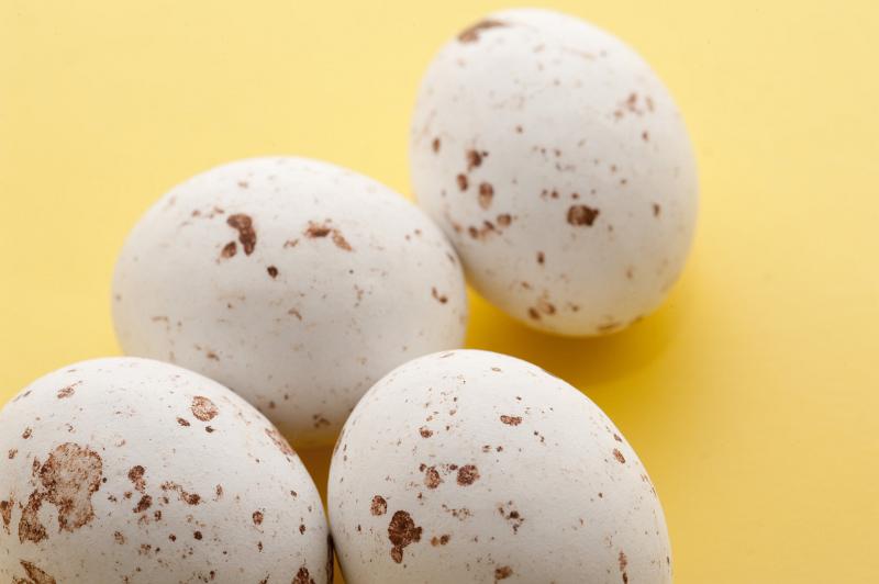 Free Stock Photo: Speckled Easter Eggs. Four speckled candy Easter eggs, close-up view on yellow.