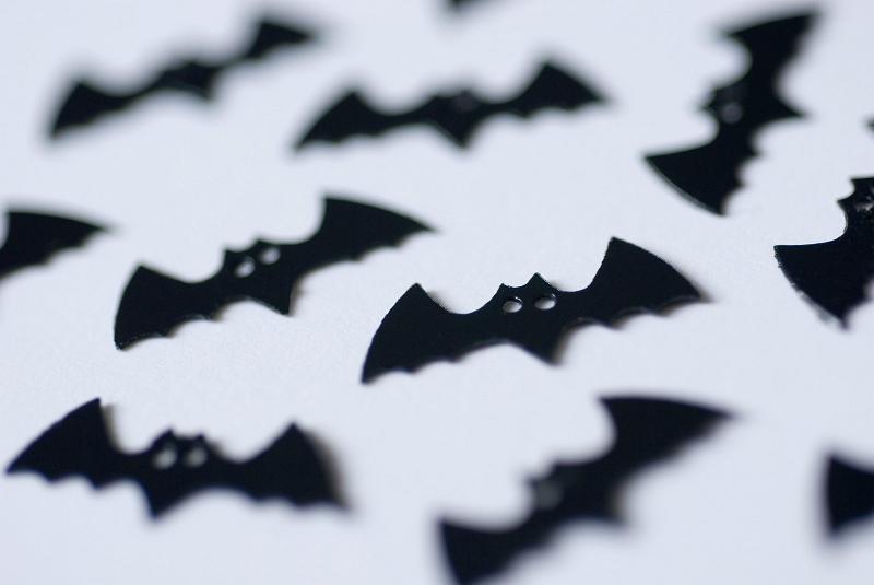 Free Stock Photo: flying black bats on a white background