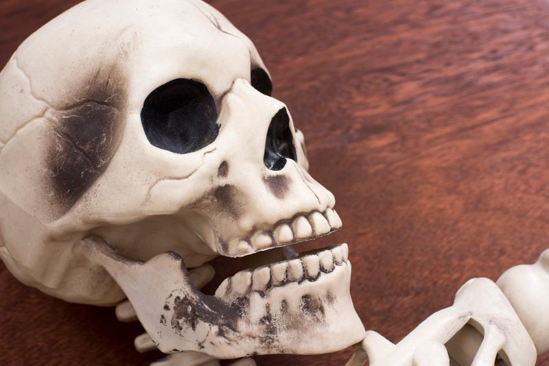 Free Stock Photo: skull and skeleton bones on a wooden surface