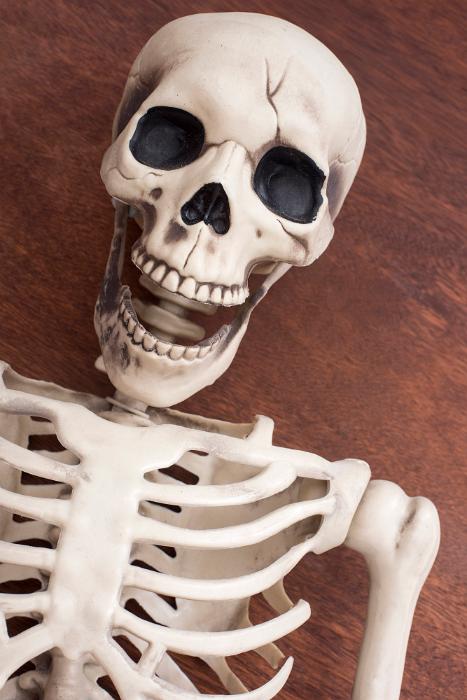 Free Stock Photo: a whimsical halloween skeleton, pictured on a wooden background