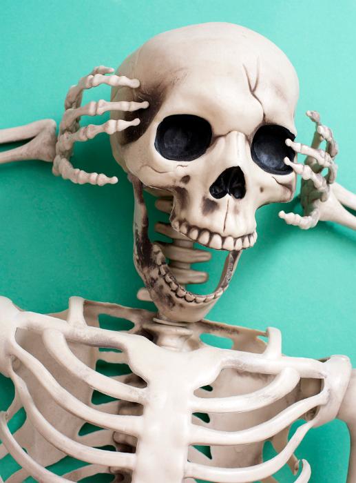 Free Stock Photo: a spooky halloween skeleton with mouth wide open