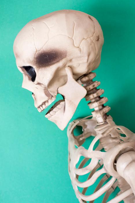 Free Stock Photo: a spooky halloween skeleton head and body with a green background