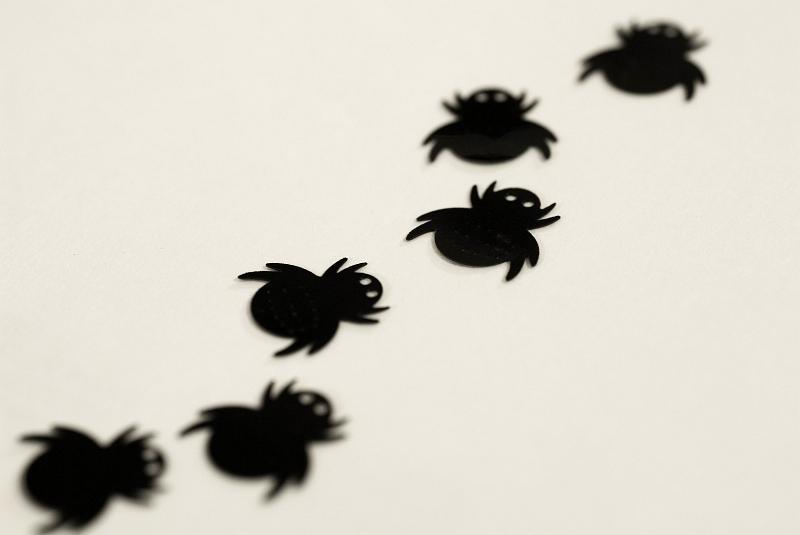 Free Stock Photo: black spider shapes arranged crawling in a line on white with a shallow depth of field