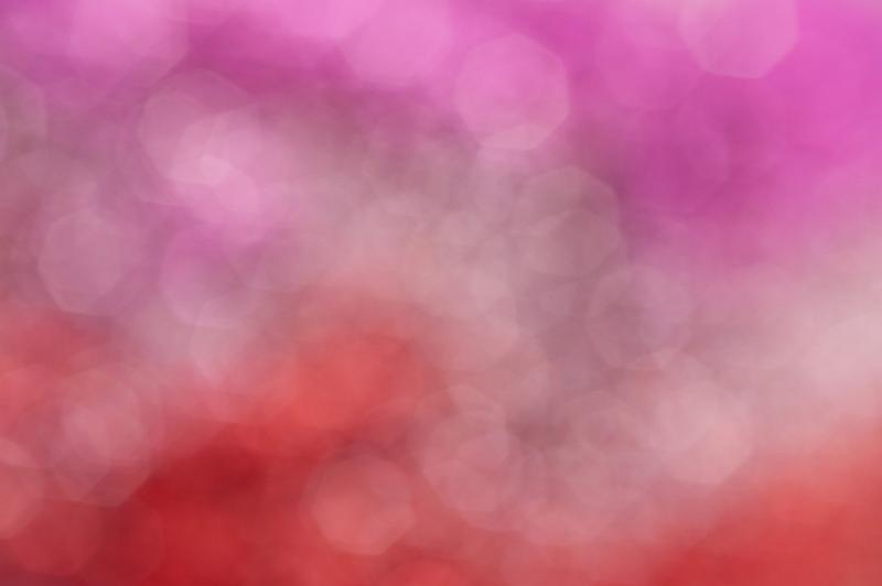 Free Stock Photo: Abstract background with pink through red bokeh in a soft blended gradient and copy space for your text