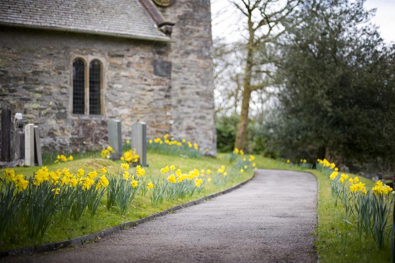 Free Stock Photo: a small rural village church, path lined with daffodils