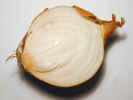 foodhalfonion0751.jpg (512713 bytes)